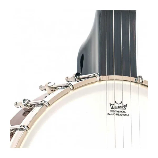 BANJO 5 Cordes GOLD TONE CB-100 - openback Clawhammer 11"