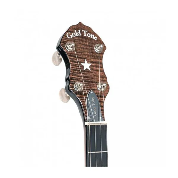 BANJO 5 Cordes GOLD TONE CB-100 - openback Clawhammer 11"