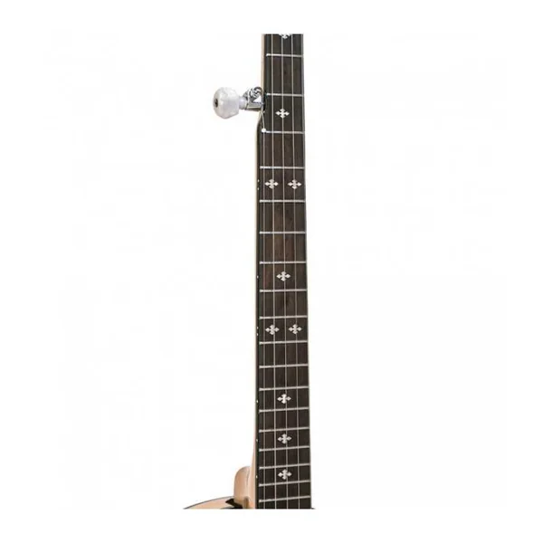 BANJO 5 Cordes GOLD TONE CC-100R - Cripple Creek