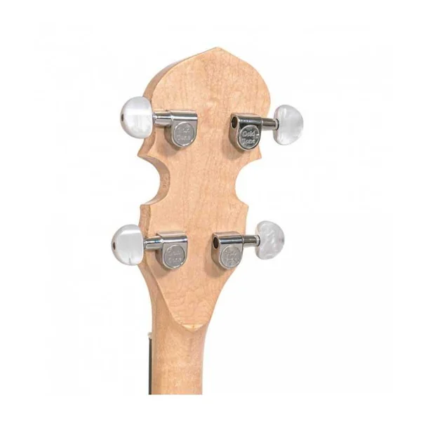 BANJO 5 Cordes GOLD TONE CC-100R - Cripple Creek