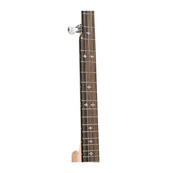 BANJO 5 Cordes GOLD TONE CC-100RW - Cripple Creek