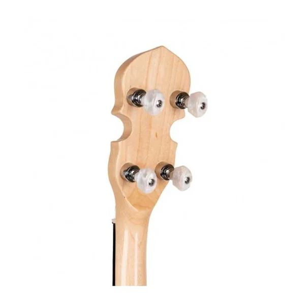 BANJO 5 Cordes GOLD TONE CC-100RW - Cripple Creek