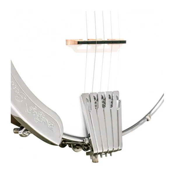 BANJO 5 Cordes GOLD TONE CC-50 - Cripple Creek