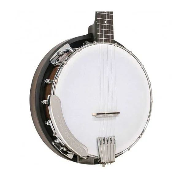 BANJO 5 Cordes GOLD TONE CC-50RP - Cripple Creek