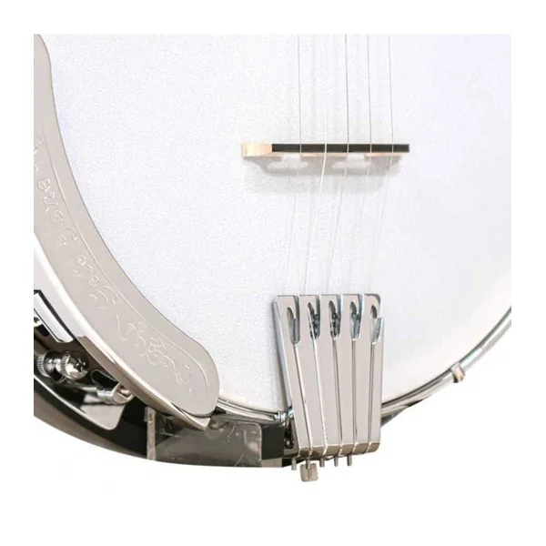 BANJO 5 Cordes GOLD TONE CC-50RP - Cripple Creek