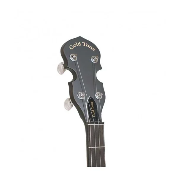 BANJO 5 Cordes GOLD TONE CC-50RP - Cripple Creek
