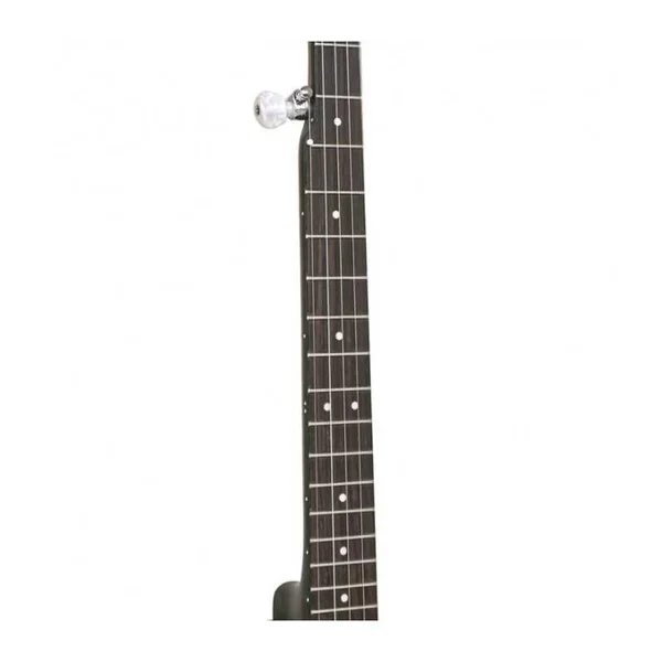 BANJO 5 Cordes GOLD TONE CC-50RP - Cripple Creek
