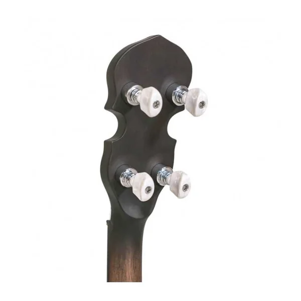 BANJO 5 Cordes GOLD TONE CC-50RP - Cripple Creek