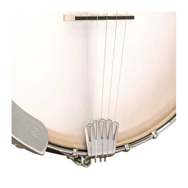 BANJO 5 Cordes GOLD TONE CC-CARLIN 12 - Cripple Creek Bob Carlin
