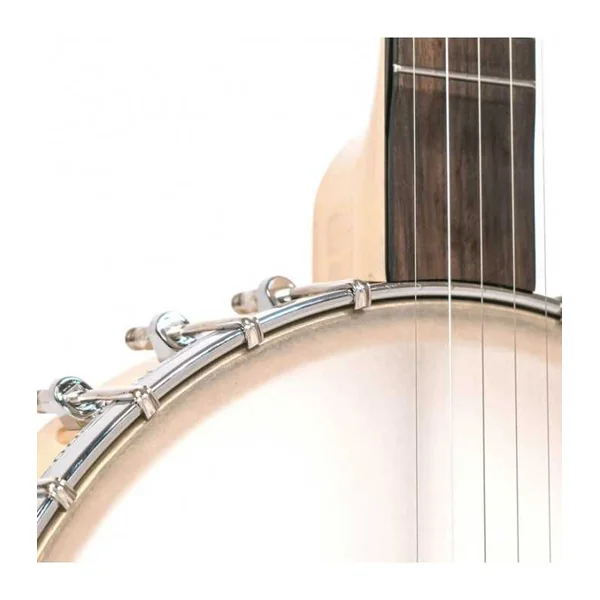 BANJO 5 Cordes GOLD TONE CC-CARLIN 12 - Cripple Creek Bob Carlin