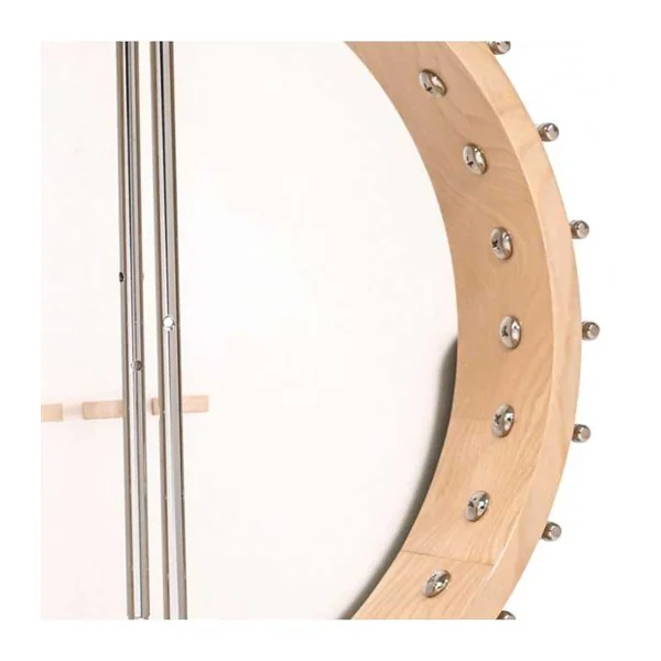 BANJO 5 Cordes GOLD TONE CC-CARLIN 12 - Cripple Creek Bob Carlin