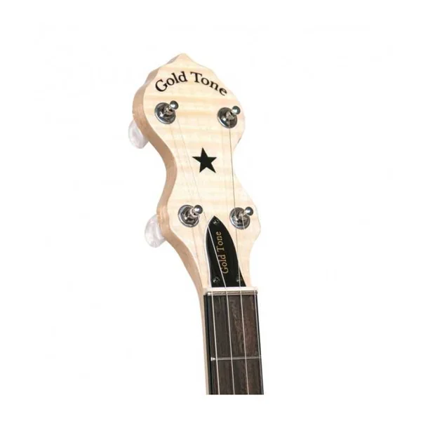 BANJO 5 Cordes GOLD TONE CC-CARLIN 12 - Cripple Creek Bob Carlin