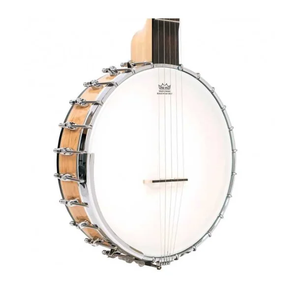 BANJO 5 Cordes GOLD TONE MM-150 - Openback Maple Mountain