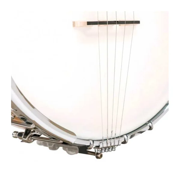 BANJO 5 Cordes GOLD TONE MM-150 - Openback Maple Mountain