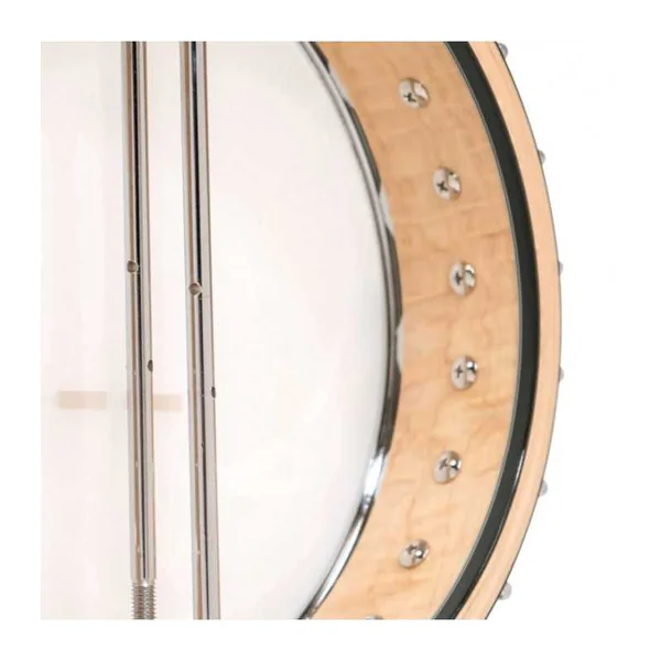 BANJO 5 Cordes GOLD TONE MM-150 - Openback Maple Mountain