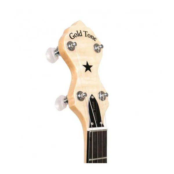 BANJO 5 Cordes GOLD TONE MM-150 - Openback Maple Mountain