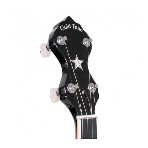 BANJO 5 Cordes GOLD TONE OT-800 - Old-Time de style tubaphone
