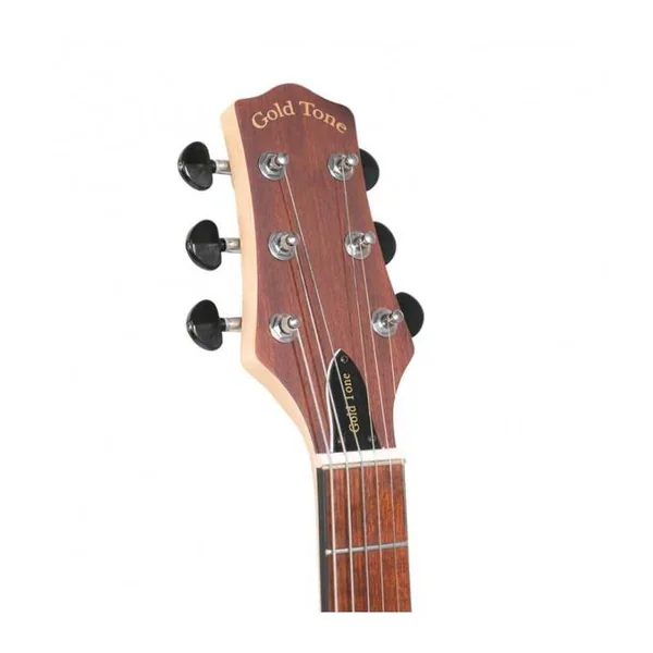 BANJO 6 Cordes Electrique GOLD TONE EB-6