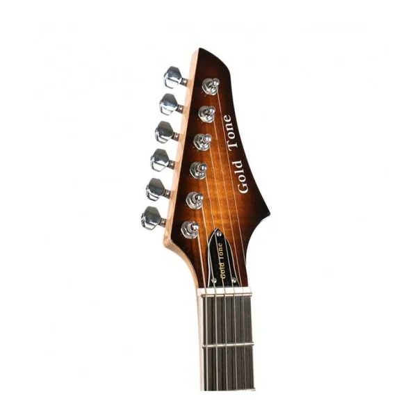 Banjo 6 Cordes Electrique GOLD TONE ES-BANJITAR - Banjitar électrique