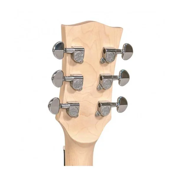 BANJO 6 Cordes GOLD TONE AC-6+ - Banjitar avec micro