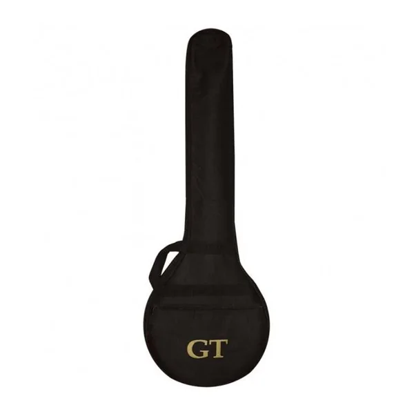 BANJO 6 Cordes GOLD TONE AC-6+ - Banjitar avec micro