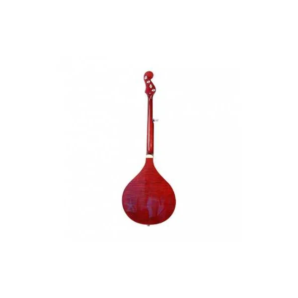 Banjola Electro 5 Cordes GOLD TONE BANJOLA+