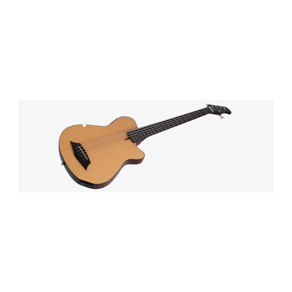 Basse Electrique 5 Cordes FretLess M. MILLER GB5-5 NT
