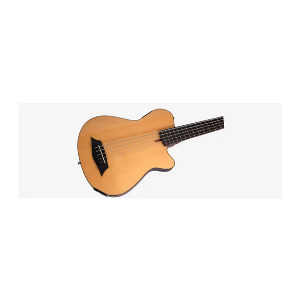 Basse Electrique 5 Cordes FretLess M. MILLER GB5-5 NT
