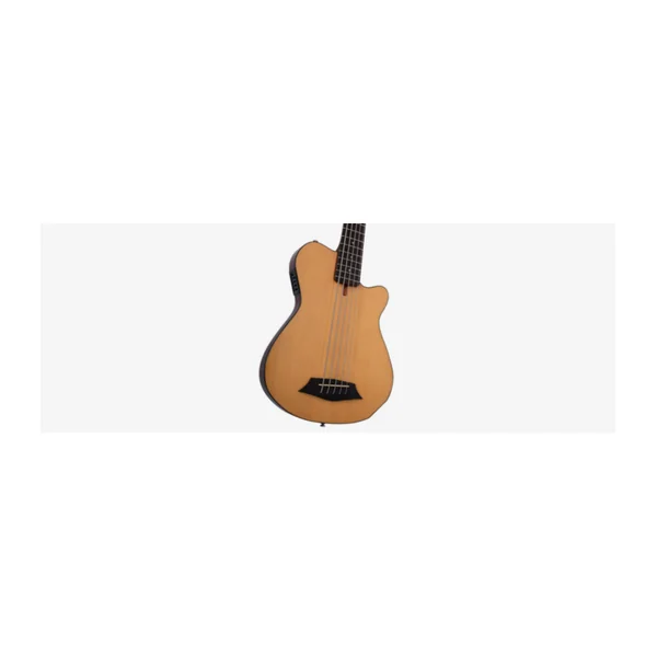 Basse Electrique 5 Cordes FretLess M. MILLER GB5-5 NT