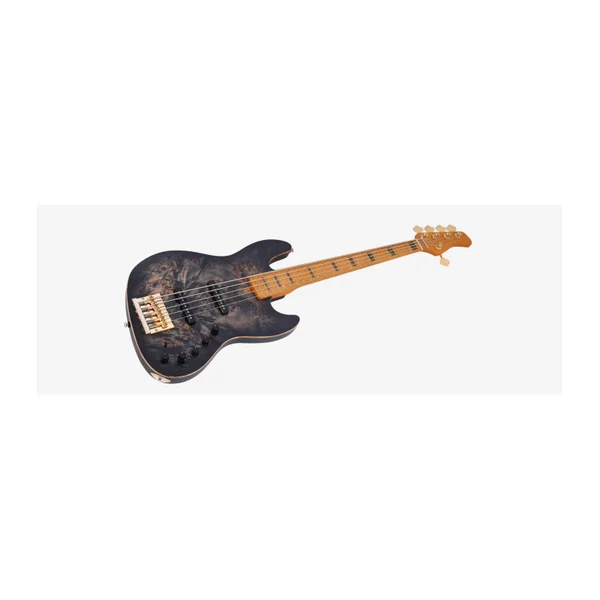 Basse Electrique 5 Cordes M. MILLER V10-5 TBK.S