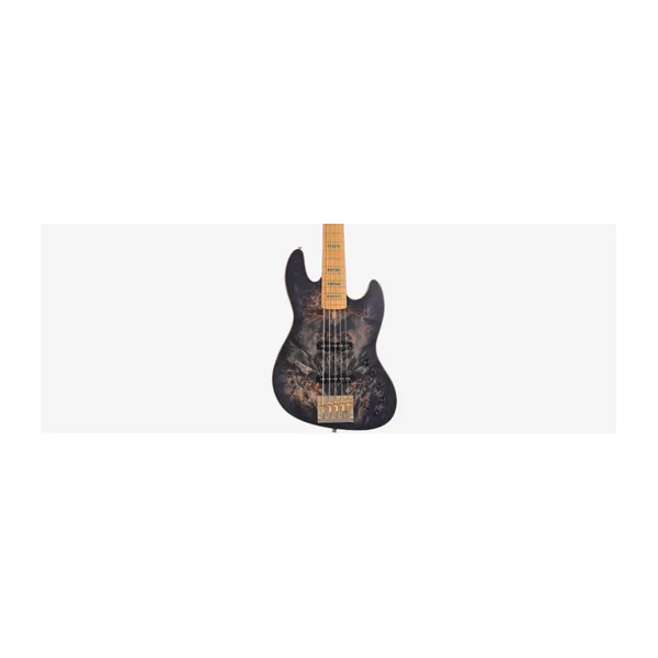 Basse Electrique 5 Cordes M. MILLER V10-5 TBK.S