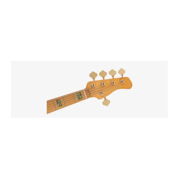 Basse Electrique 5 Cordes M. MILLER V10-5 TBK.S