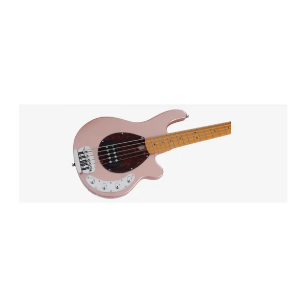 Basse Electrique 5 Cordes M. MILLER Z3-5 Rosegold
