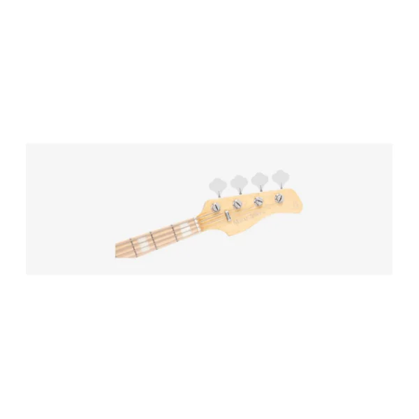 Basse Electrique M. MILLER V7 Swamp Ash Reissue-4 TBK.S