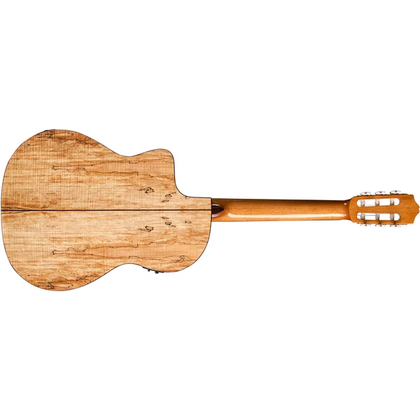 C5-CET Spalted Maple Limited - natural