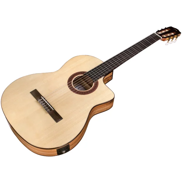 C5-CET Spalted Maple Limited - natural