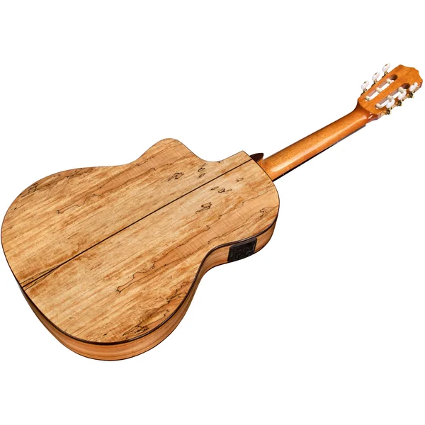 C5-CET Spalted Maple Limited - natural