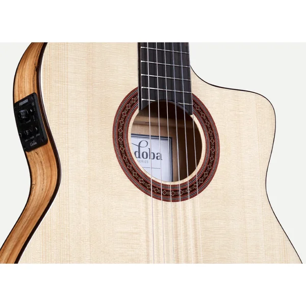 C5-CET Spalted Maple Limited - natural