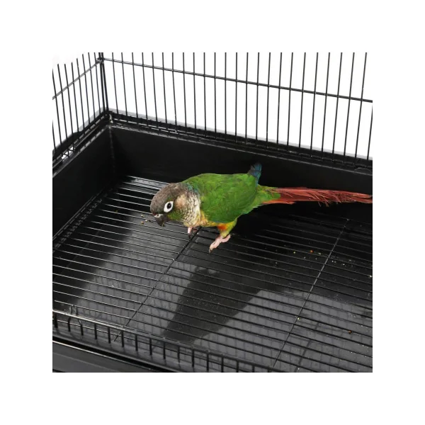 Cage oiseau avec support pour perruche canari mandarin