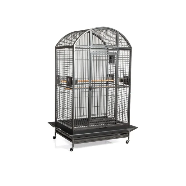 Cage perroquet Zeus (2 couleurs)
