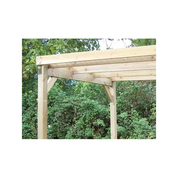 Carport de jardin couvert 4m² en pin sylvestre massif Carport voiture Abri voiture en bois massif