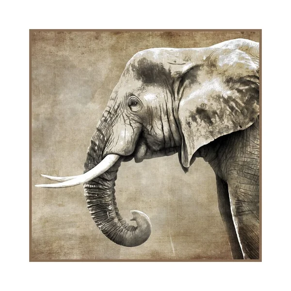 Carré simili cuir 44x44 cm éléphant