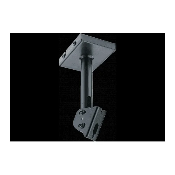 ceiling Mount