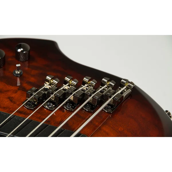 Combustion 5 2-Pickups (PF) - vintage burst