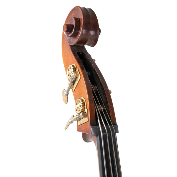 Contrebasse 3/4 Premium Line - Modele Massif