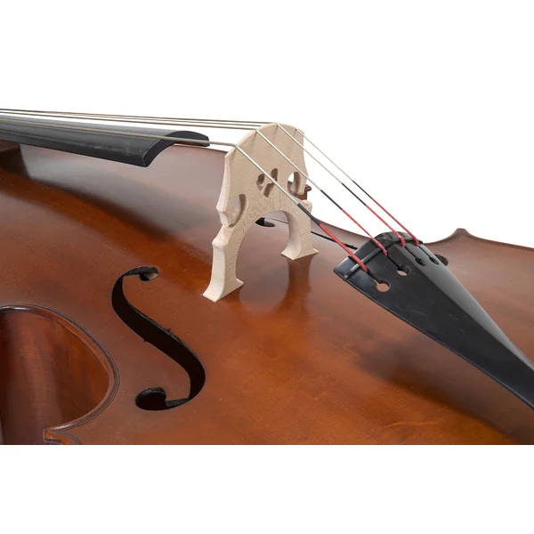 Contrebasse 3/4 Premium Line - Modele Massif