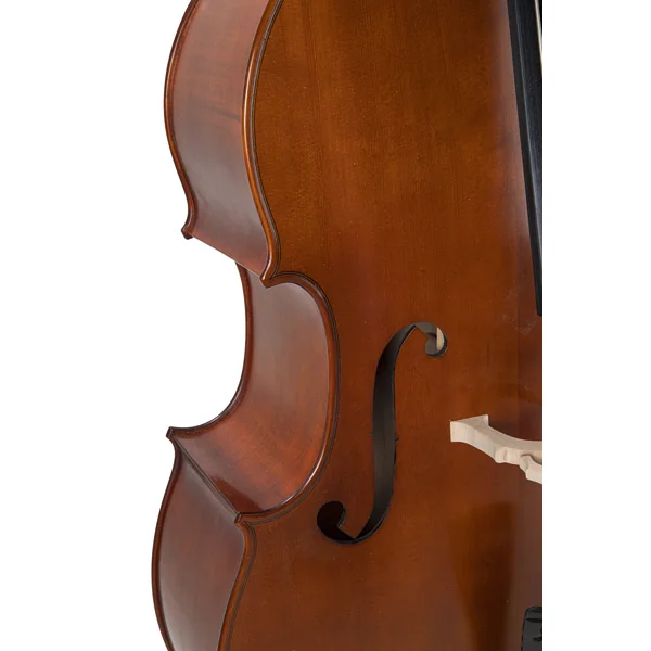 Contrebasse 3/4 Premium Line - Modele Massif