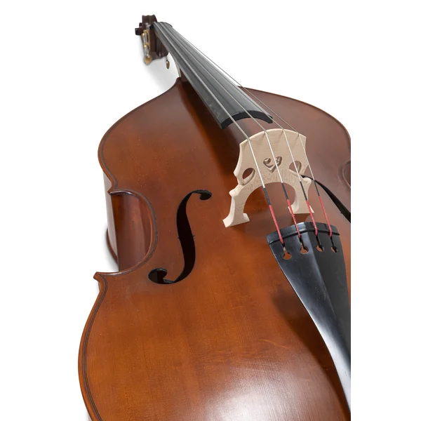 Contrebasse 3/4 Premium Line - Modele Massif