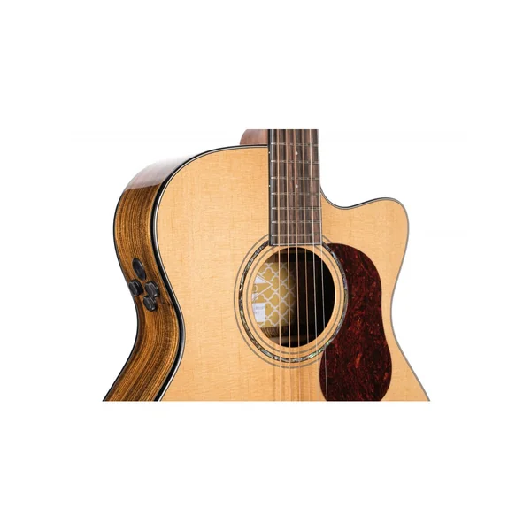 Cort Gold OC6 bocote + housse