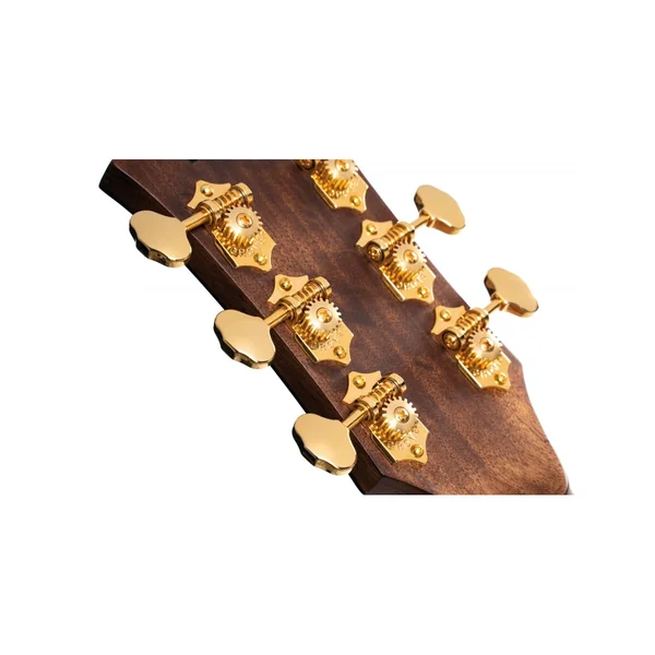 Cort Gold OC6 bocote + housse